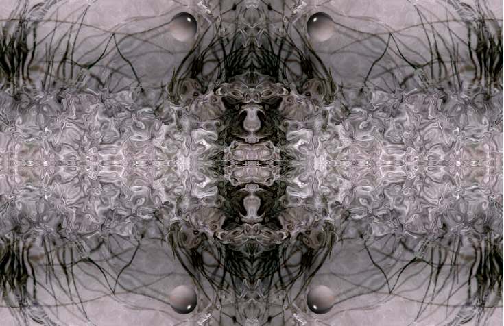 seagrasses1