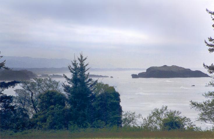 trees-and-ocean