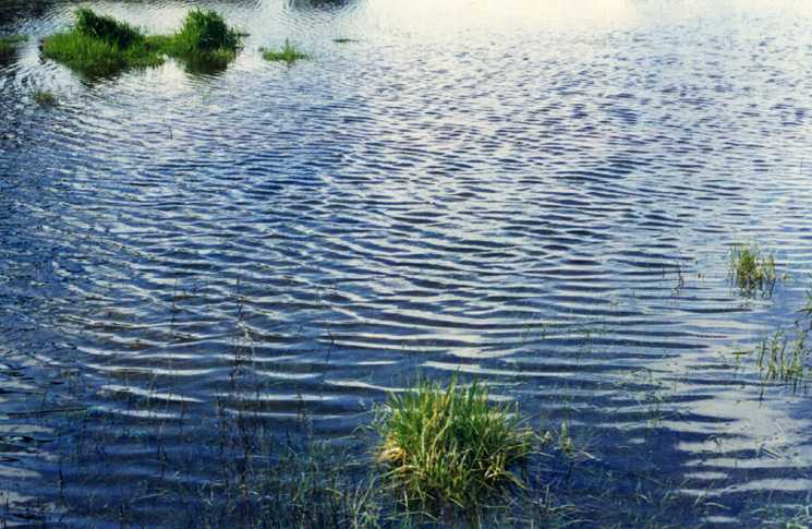 dune-pond